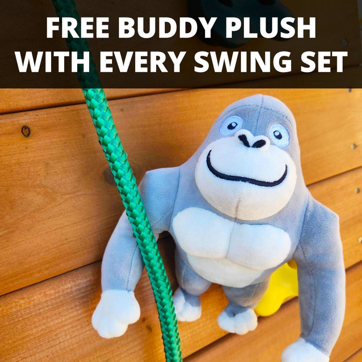 Navigator Swing Set