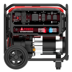 GXS6400DC – Dual Fuel Portable Generator